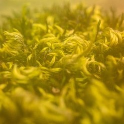 C'EST SUR LE TRUC  Aout 2021