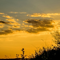 LA POSTA DE SOL  Aout 2018