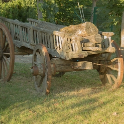 CARRO A LA MULA  Aout 2021