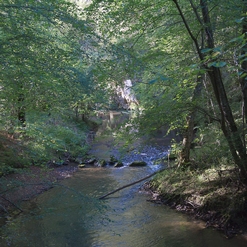 LO RIU DE LA QUERA  Aout 2021