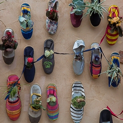 PLANTES I FLORS  Aout 2021