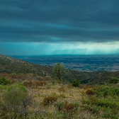 CAMPO DE ALBERA Aout 2017