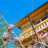 BELLE AU BALCON Aout 2018